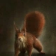 Mighty_Ratatosk