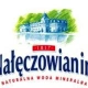 Nalenczowianin