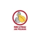 Nielykajjakpelikan