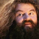 NowyGraczHagrid