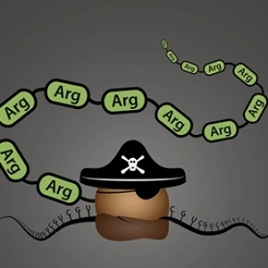 PirateRibosome