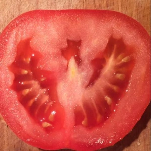 Pomidorek_w_Kieszeni