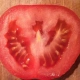 Pomidorek_w_Kieszeni