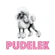 Pudelek-pl