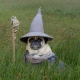 PugTheGandalf