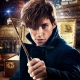 Scamander