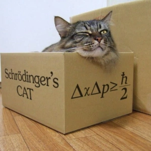 Schroedinger73