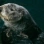 SeaOtter