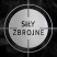 Sily_Zbrojne