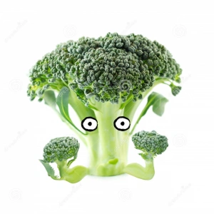 SneakyBroccoli