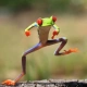 StretchyFrog