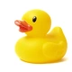 SuckMyRubberDuck