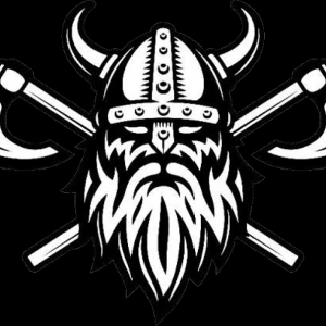 The_Lost_Vikings