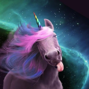 UnicornPrincess