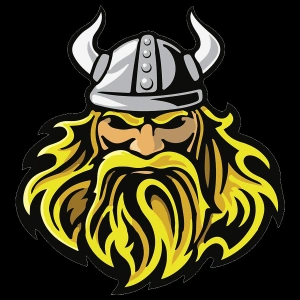 VViking