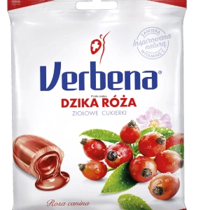 VerbenaDzikaRurza