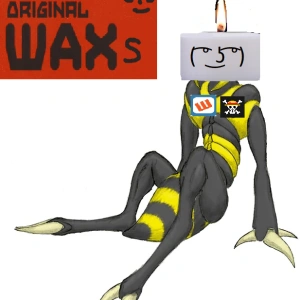WAXs