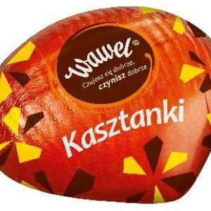 WawelskiKasztan