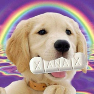 Xanax81