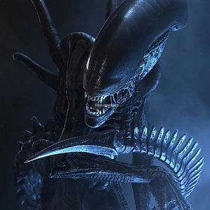 Xenomorph