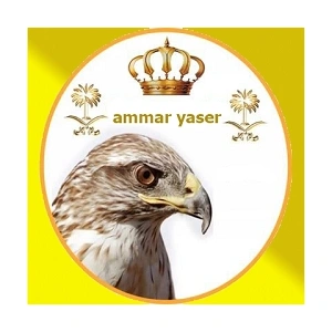 ammar-yaser