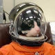 astrocat