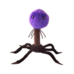 bakteriofag