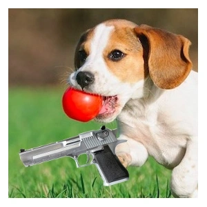 beagle-with-deagle