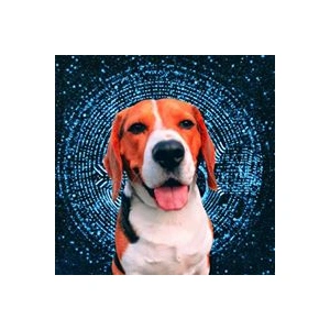 crypto-beagle