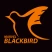 czarny-ptak
