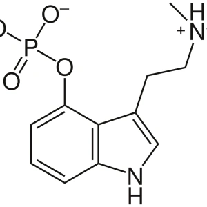 damian-goraj-75