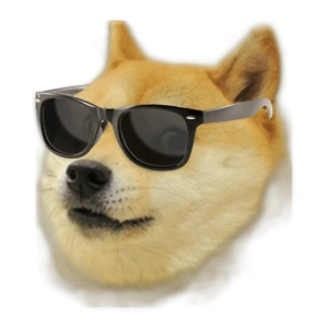 dogemaster