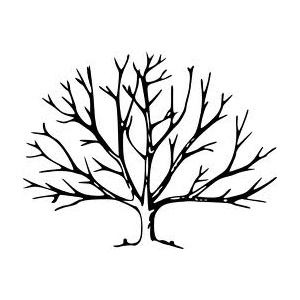 drzewo_bez_lisci