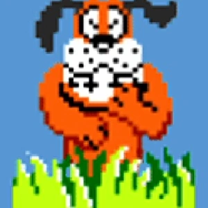 duckhunt51