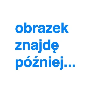 dzikitraf