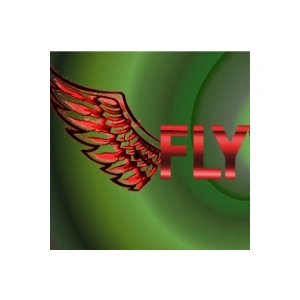 flywhare