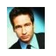 foxmulder