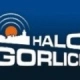 halogorlice