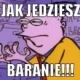 jakjedziesz-baranie-9