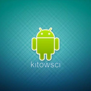 kitowsci