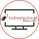 kodiwpigulce_pl