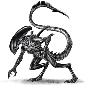 ksenomorph