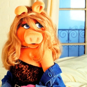 misspiggy