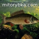 mitorybka_com