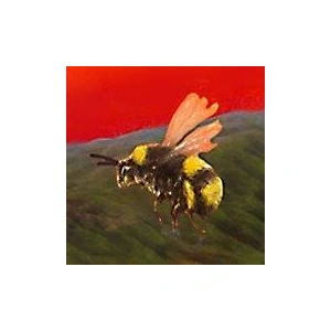 pszczola1