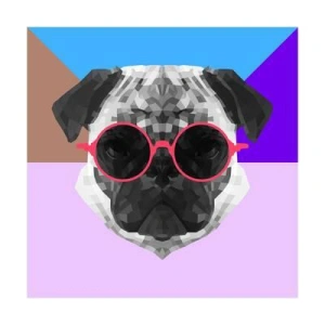 pug_the_dog