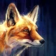 red_fox