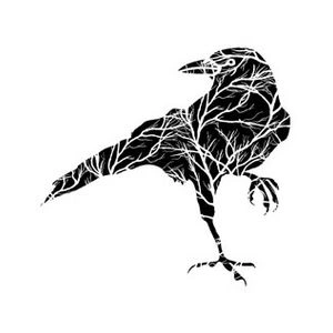 small_raven