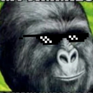 struggledgorilla12