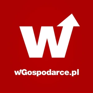 wGospodarce